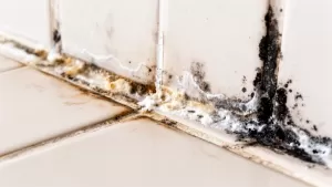 Czym wyczyścić fugi w kuchni